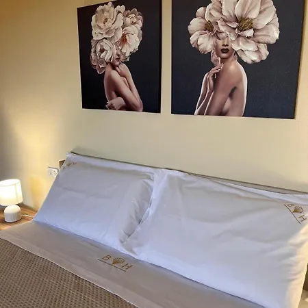 Appartement Belvedere House